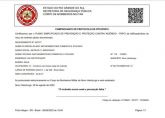 Tanzanita Lapidadas Quilate