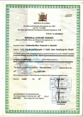 Par Esmeraldas Transparentes Quilate